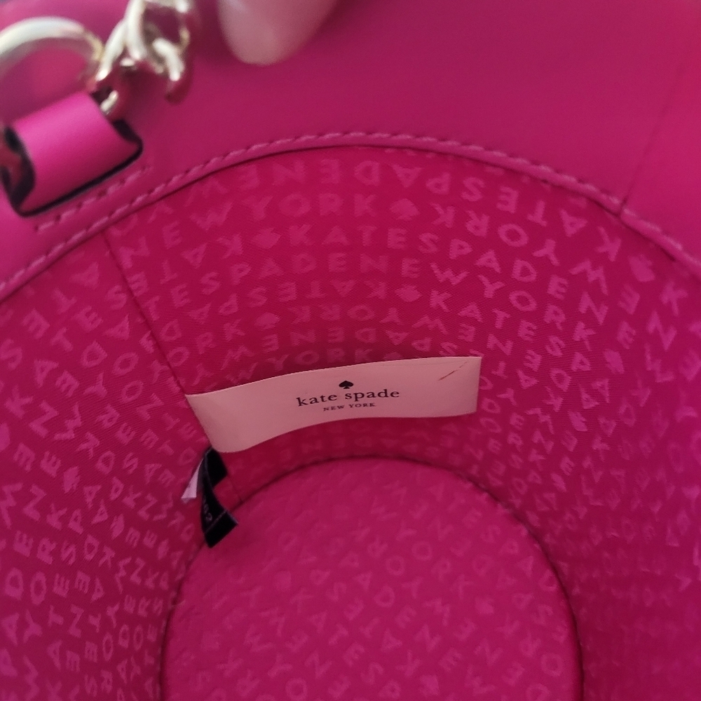 Kate Spade Flavor Of The Month Ice Cream Pint Crossbody, VGUC - Picture 10 of 10